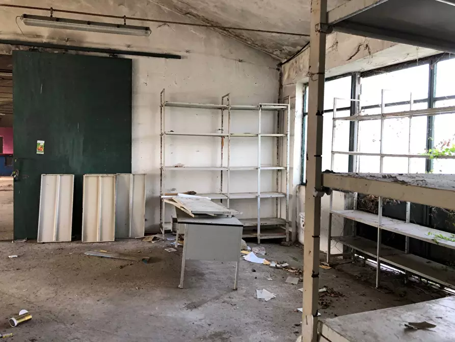 Immagine 12 di Rustico / casale in vendita  in Via Chieti a Castellalto