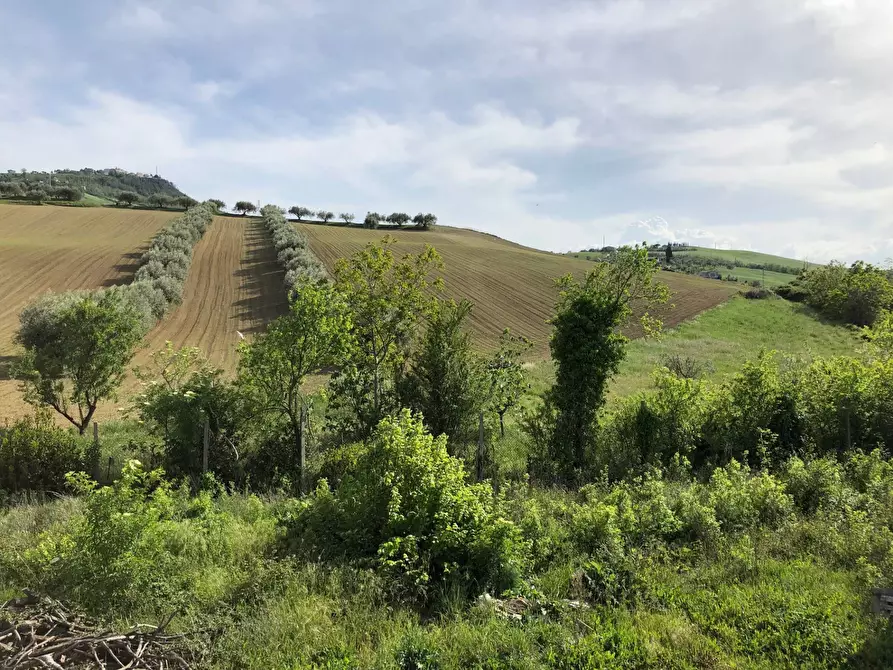 Immagine 29 di Rustico / casale in vendita  in Via Chieti a Castellalto