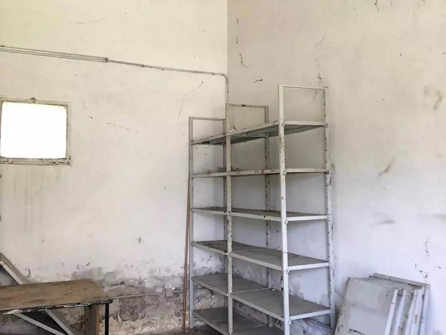 Immagine 15 di Rustico / casale in vendita  in Via Chieti a Castellalto