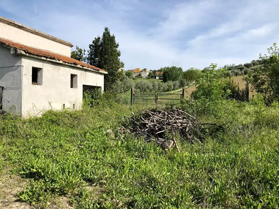 Immagine 25 di Rustico / casale in vendita  in Via Chieti a Castellalto