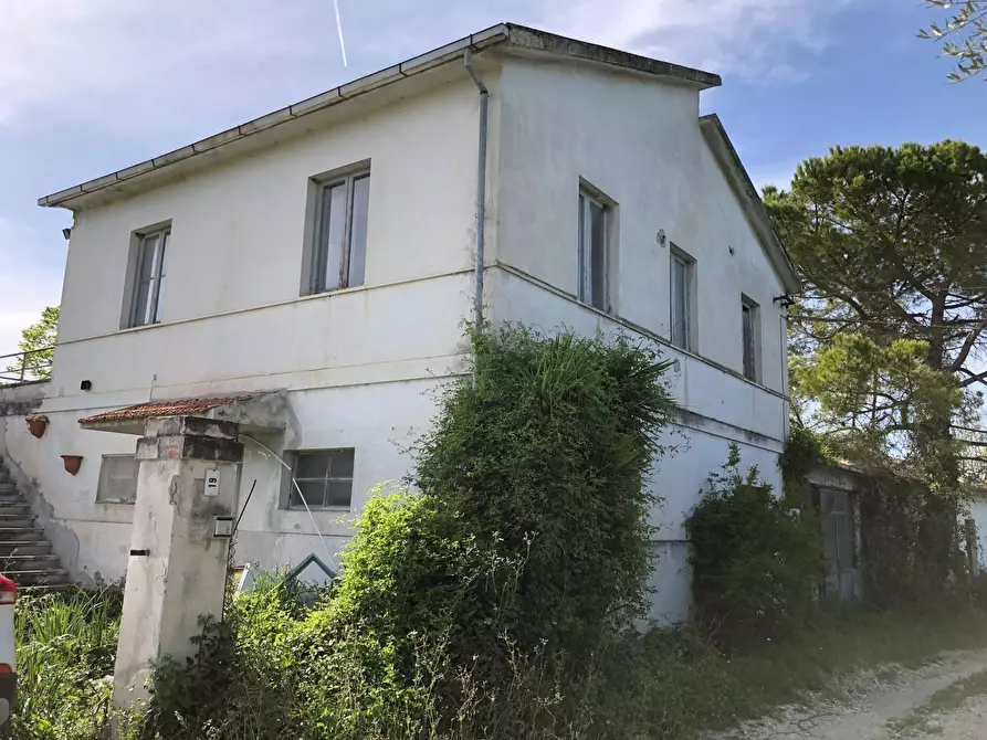 Immagine 2 di Rustico / casale in vendita  in Via Chieti a Castellalto