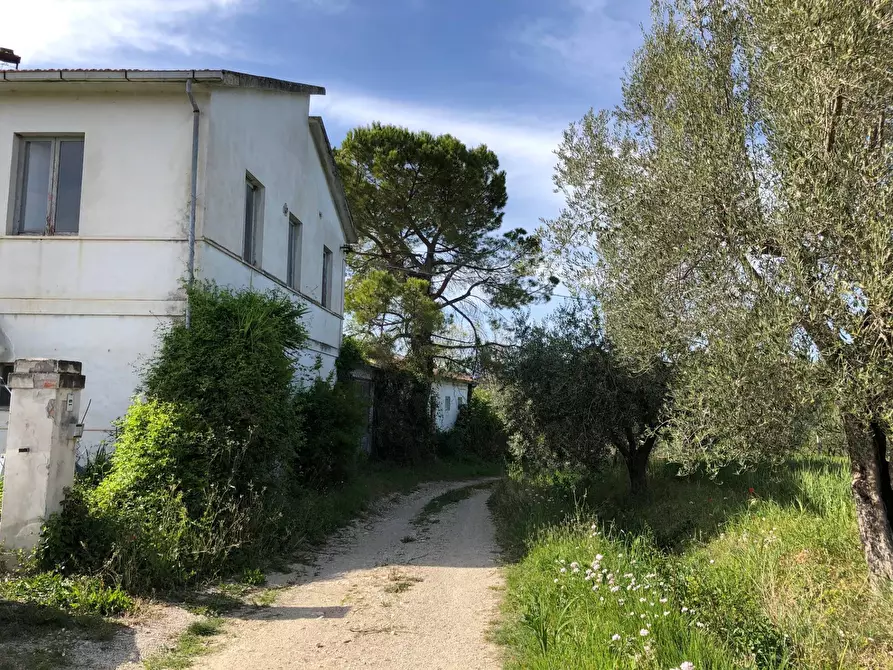 Immagine 3 di Rustico / casale in vendita  in Via Chieti a Castellalto