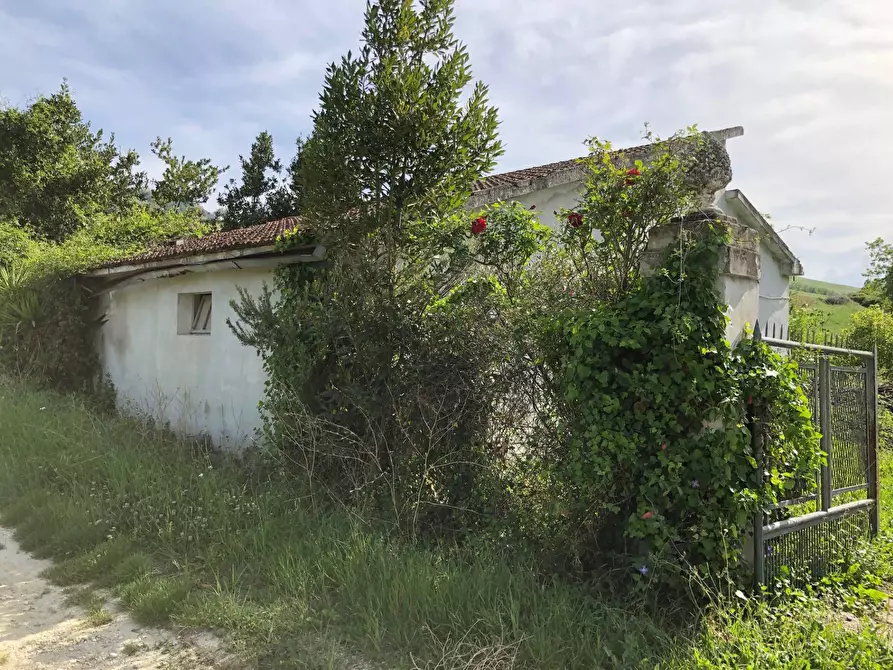 Immagine 26 di Rustico / casale in vendita  in Via Chieti a Castellalto