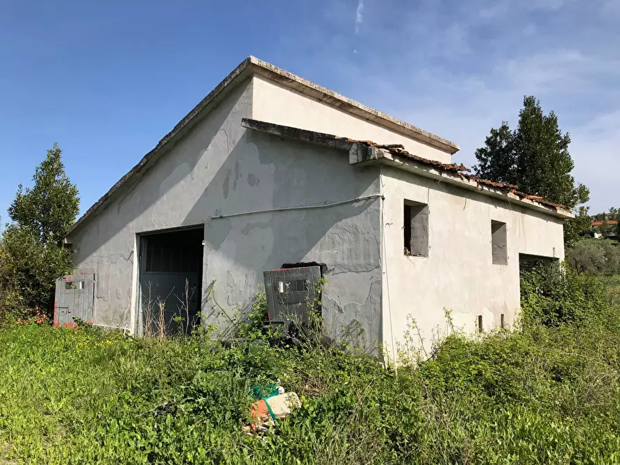 Immagine 23 di Rustico / casale in vendita  in Via Chieti a Castellalto