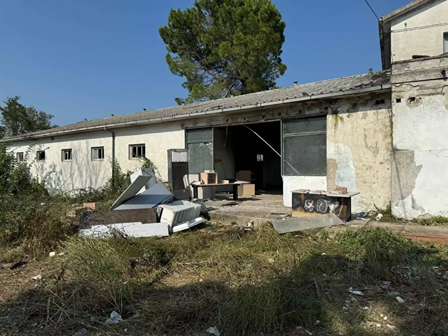 Immagine 5 di Rustico / casale in vendita  in Via Chieti a Castellalto