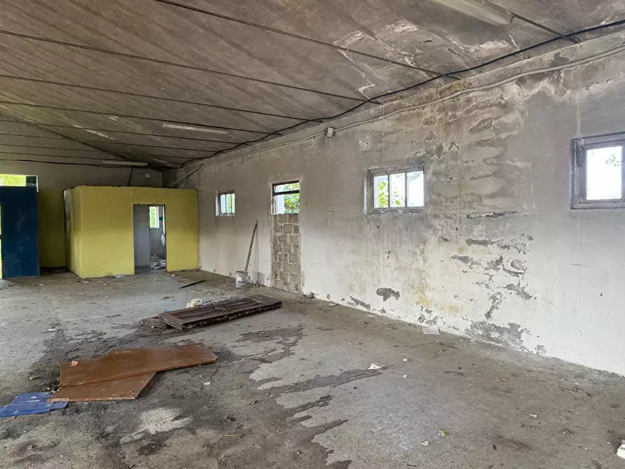 Immagine 17 di Rustico / casale in vendita  in Via Chieti a Castellalto