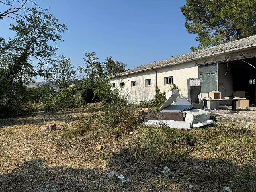 Immagine 6 di Rustico / casale in vendita  in Via Chieti a Castellalto