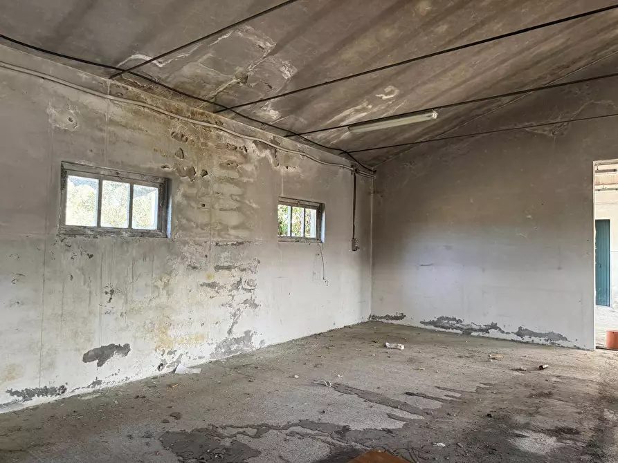 Immagine 19 di Rustico / casale in vendita  in Via Chieti a Castellalto