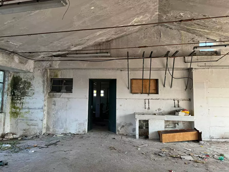 Immagine 21 di Rustico / casale in vendita  in Via Chieti a Castellalto