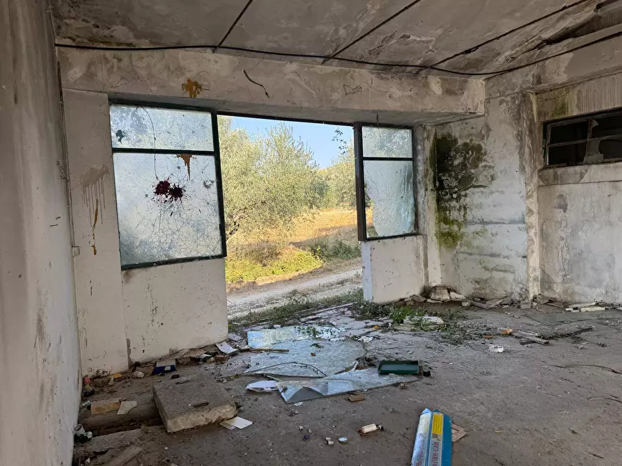 Immagine 13 di Rustico / casale in vendita  in Via Chieti a Castellalto