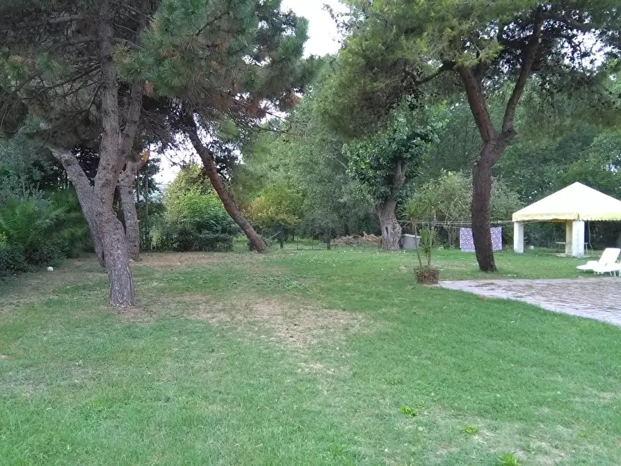 Immagine 10 di Villa in vendita  in Via Galilei a Giulianova