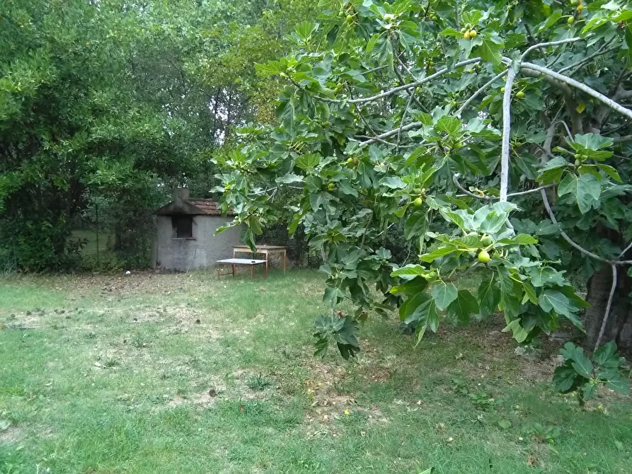 Immagine 14 di Villa in vendita  in Via Galilei a Giulianova