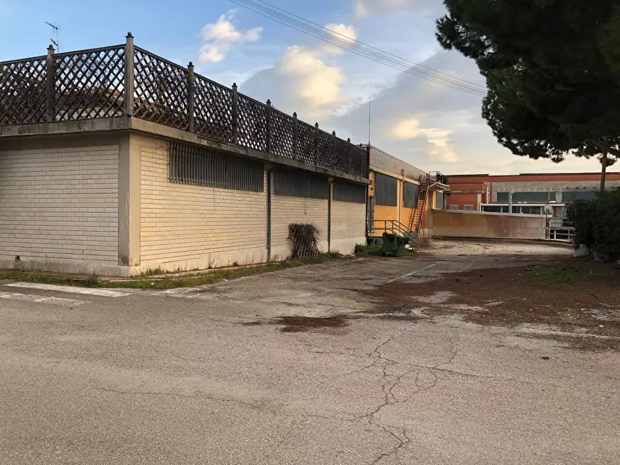 Immagine 4 di Capannone industriale in vendita  in VIA MOLINO FLAIANI a Corropoli