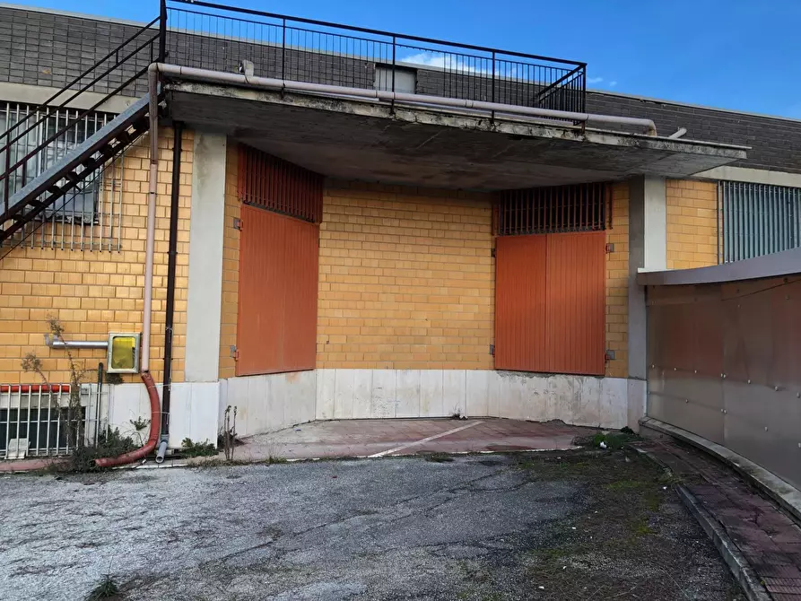 Immagine 5 di Capannone industriale in vendita  in VIA MOLINO FLAIANI a Corropoli