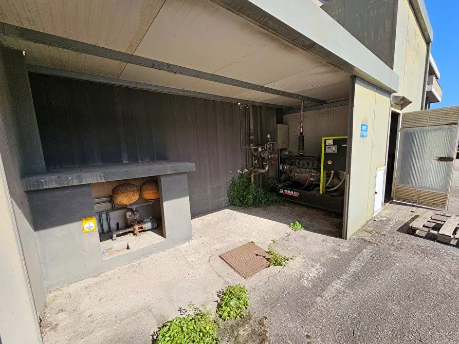 Immagine 28 di Capannone industriale in vendita  in Salino a Tortoreto