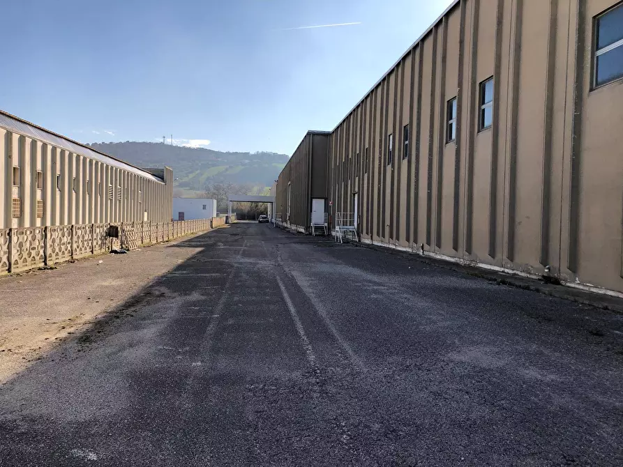 Immagine 4 di Capannone industriale in vendita  in Via Trieste a Tortoreto