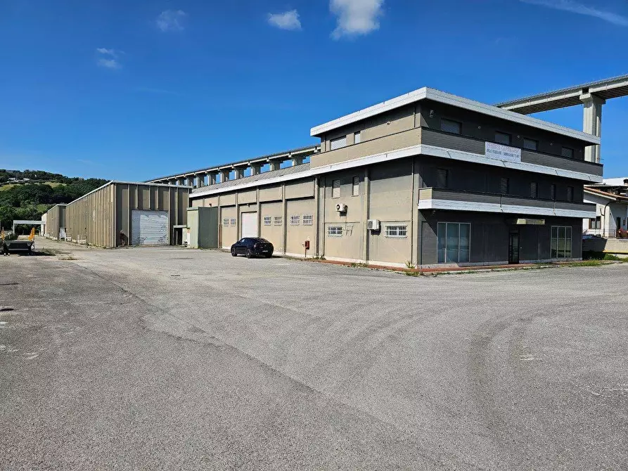 Immagine 2 di Capannone industriale in vendita  in Via Trieste a Tortoreto