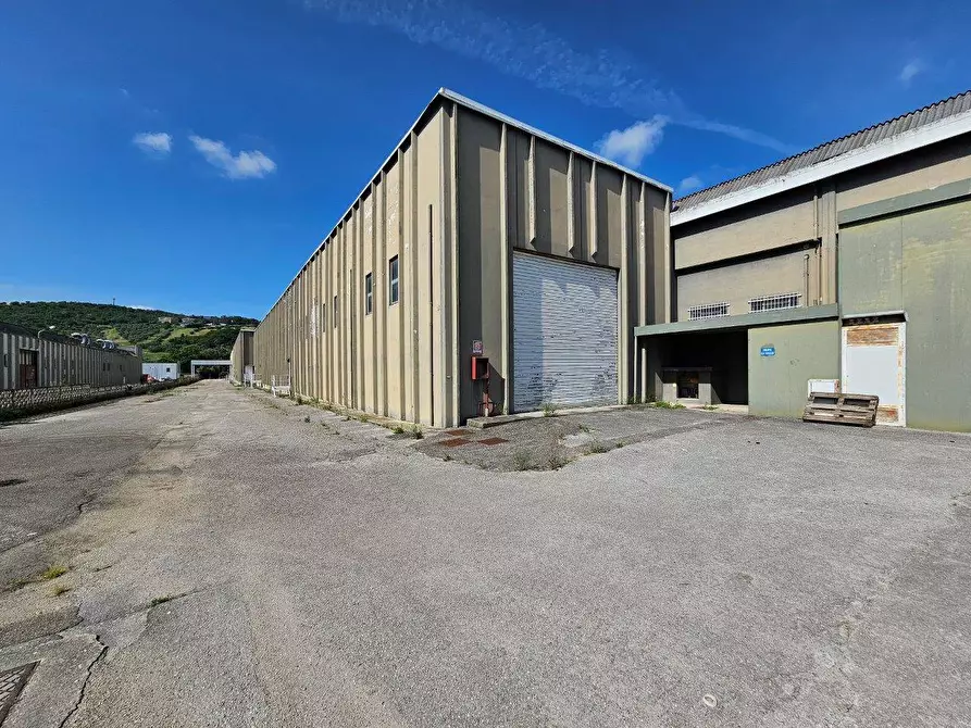 Immagine 3 di Capannone industriale in vendita  in Via Trieste a Tortoreto