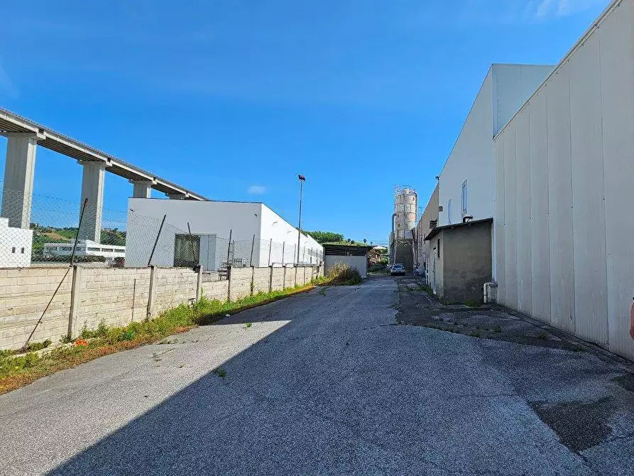 Immagine 6 di Capannone industriale in vendita  in Via Trieste a Tortoreto