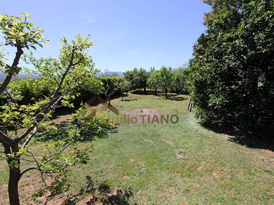 Immagine 11 di Appartamento in vendita  in VIA CATANIA a Montalto Uffugo