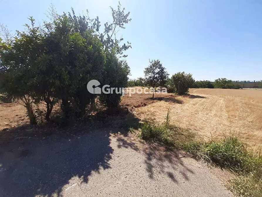 Immagine 24 di Terreno residenziale in vendita  in Via Lega Lombarda a Marcallo Con Casone