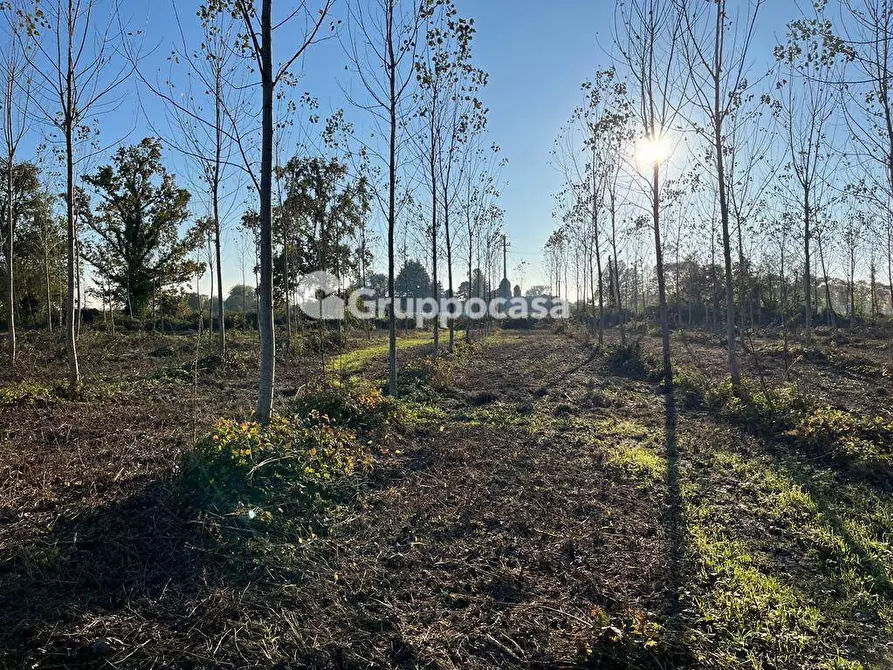 Immagine 20 di Terreno agricolo in vendita  a Magenta
