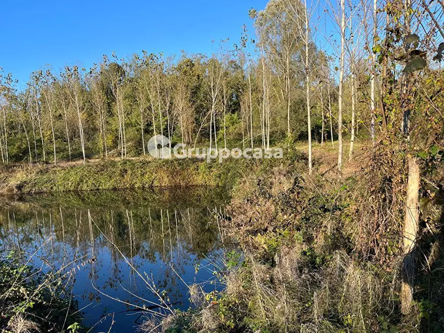 Immagine 3 di Terreno agricolo in vendita  a Magenta