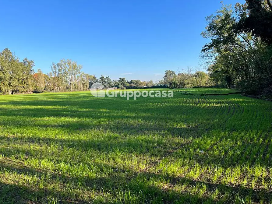 Immagine 5 di Terreno agricolo in vendita  a Magenta
