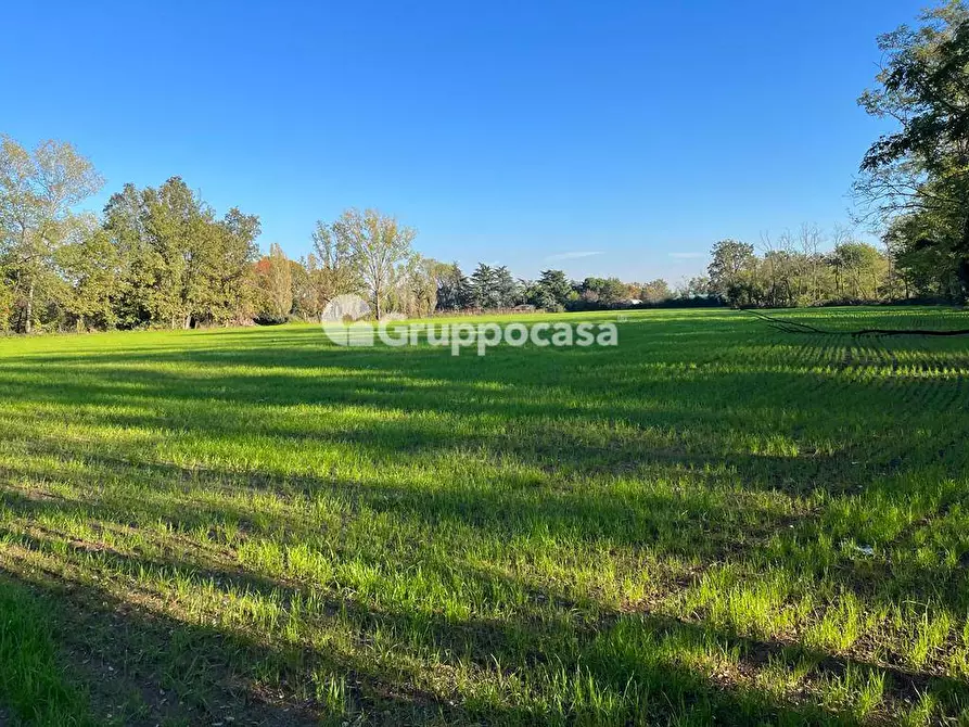 Immagine 6 di Terreno agricolo in vendita  a Magenta