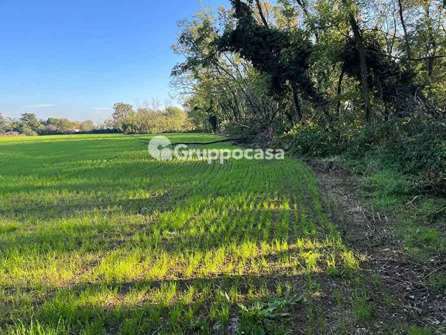 Immagine 7 di Terreno agricolo in vendita  a Magenta