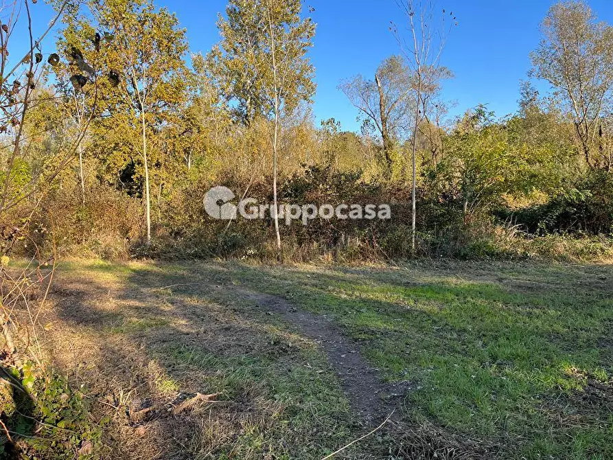 Immagine 8 di Terreno agricolo in vendita  a Magenta