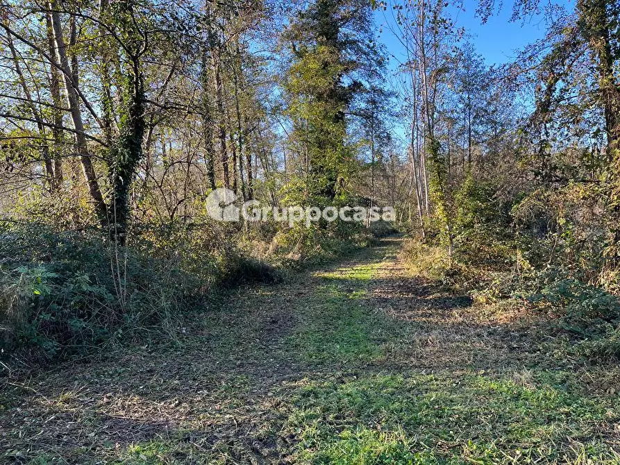 Immagine 10 di Terreno agricolo in vendita  a Magenta