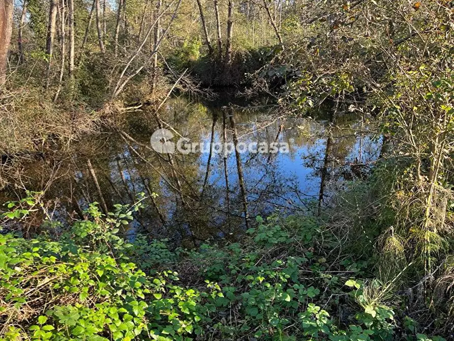 Immagine 11 di Terreno agricolo in vendita  a Magenta