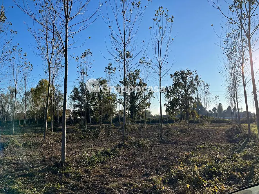 Immagine 14 di Terreno agricolo in vendita  a Magenta