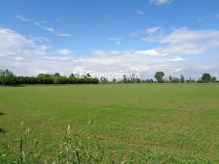 Immagine 1 di Terreno agricolo in vendita  in cascina piatti a Cassinetta Di Lugagnano