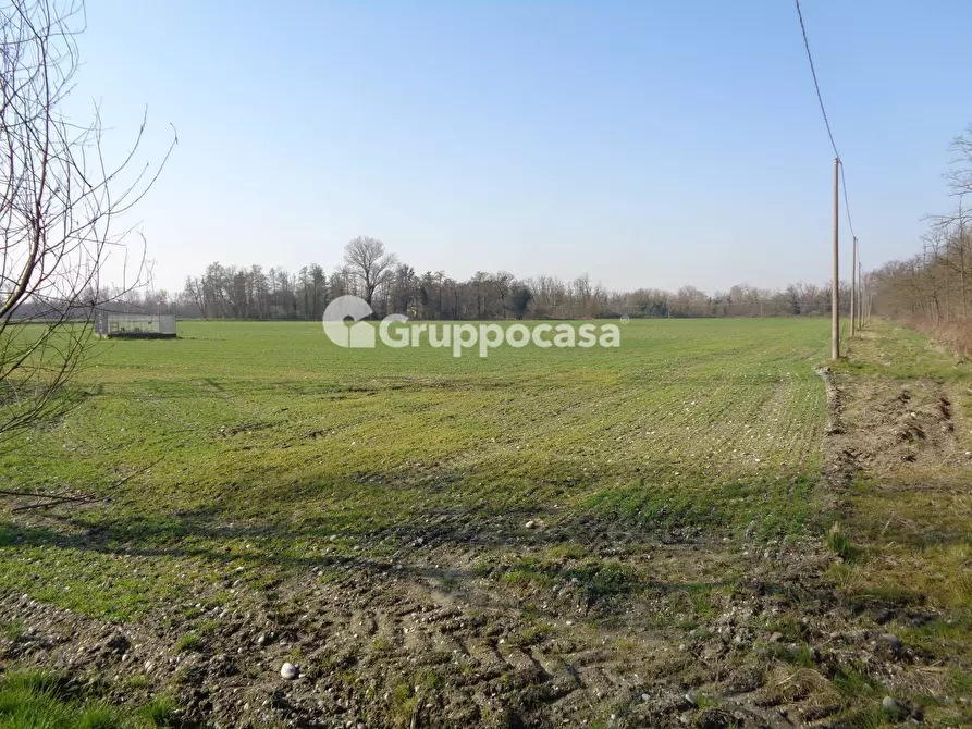 Immagine 2 di Terreno agricolo in vendita  in cascina madonnina a Boffalora Sopra Ticino