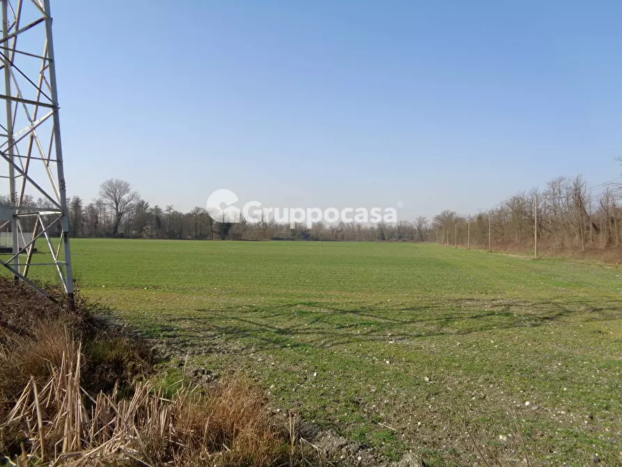 Immagine 5 di Terreno agricolo in vendita  in cascina madonnina a Boffalora Sopra Ticino