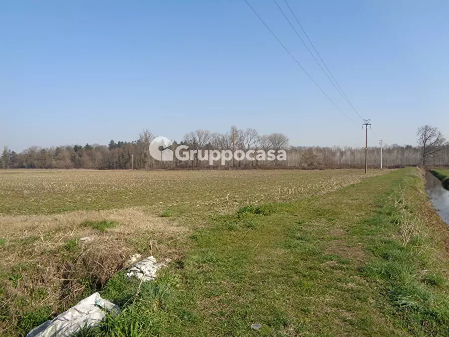 Immagine 12 di Terreno agricolo in vendita  in cascina madonnina a Boffalora Sopra Ticino