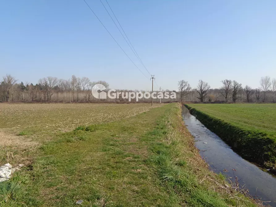 Immagine 13 di Terreno agricolo in vendita  in cascina madonnina a Boffalora Sopra Ticino