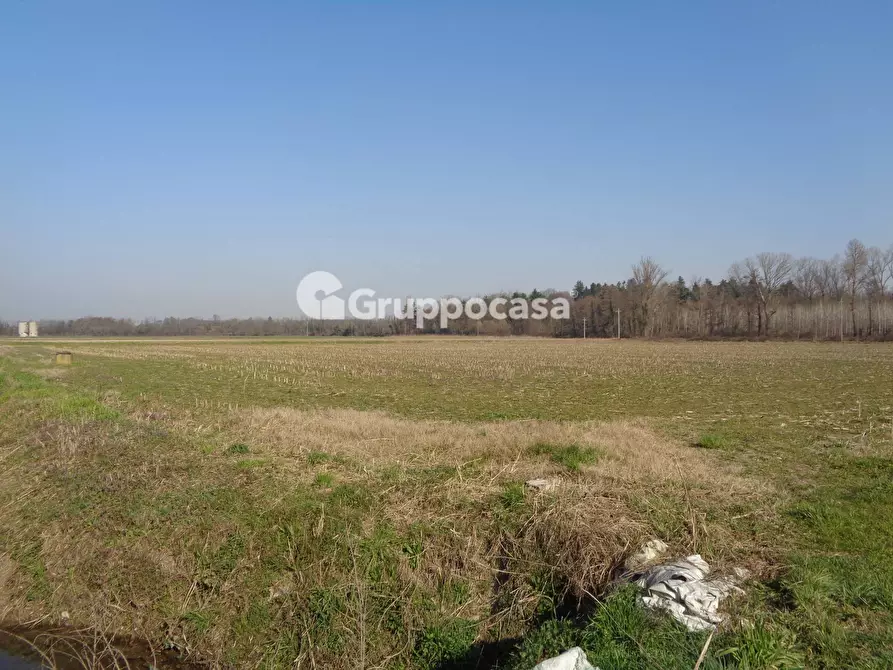 Immagine 14 di Terreno agricolo in vendita  in cascina madonnina a Boffalora Sopra Ticino