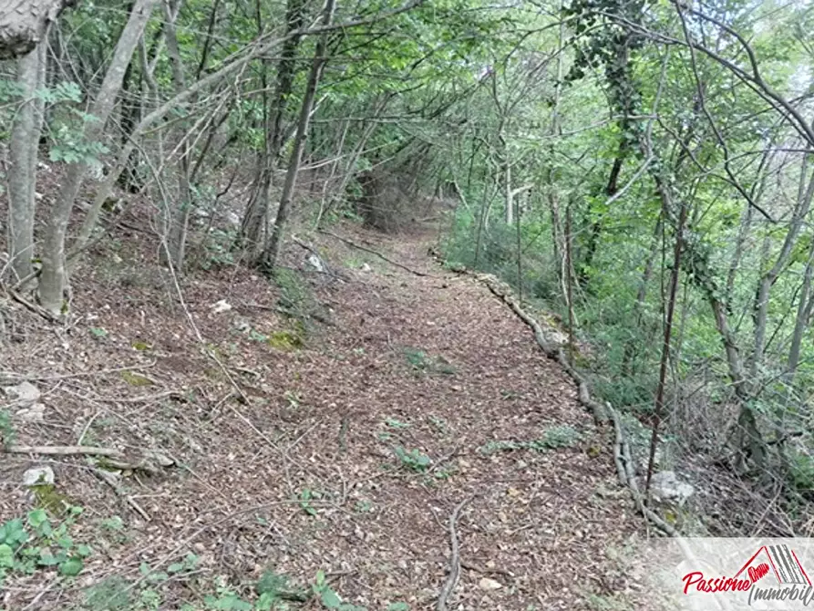 Immagine 2 di Terreno agricolo in vendita  in Via Volte Maso a Verona