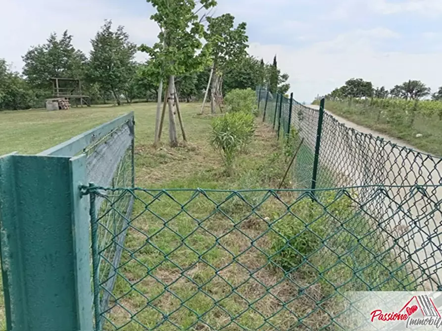 Immagine 3 di Terreno agricolo in vendita  in Via Volte Maso a Verona