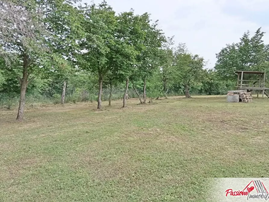 Immagine 5 di Terreno agricolo in vendita  in Via Volte Maso a Verona