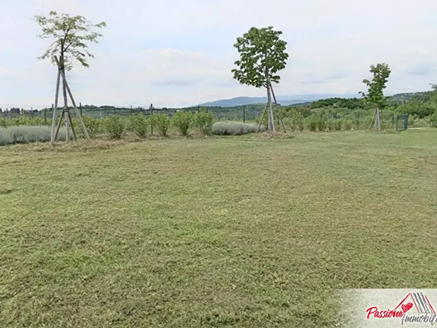 Immagine 8 di Terreno agricolo in vendita  in Via Volte Maso a Verona