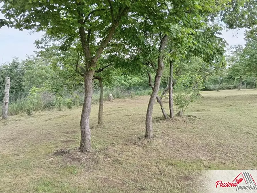 Immagine 12 di Terreno agricolo in vendita  in Via Volte Maso a Verona
