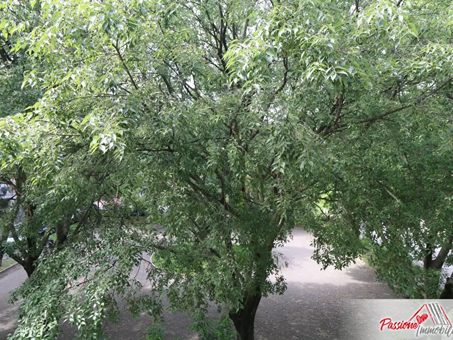 Immagine 6 di Appartamento in vendita  in Via Cavallotti a Verona