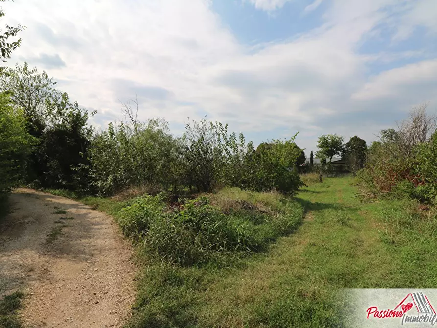 Immagine 3 di Terreno agricolo in vendita  in Via Della Diga a Verona
