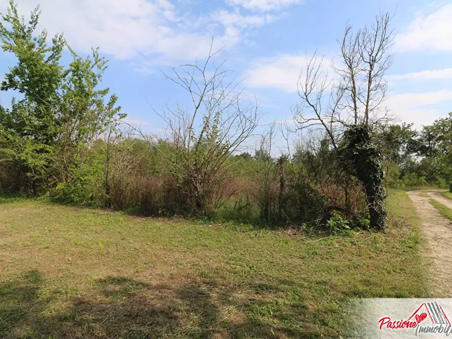 Immagine 5 di Terreno agricolo in vendita  in Via Della Diga a Verona