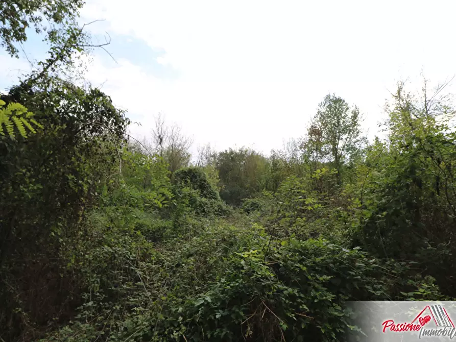 Immagine 6 di Terreno agricolo in vendita  in Via Della Diga a Verona