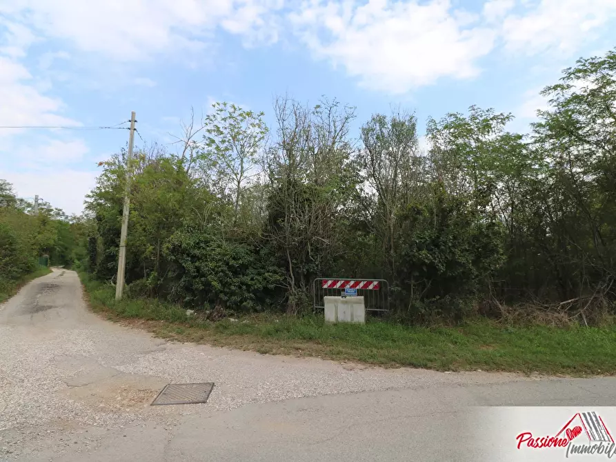 Immagine 9 di Terreno agricolo in vendita  in Via Della Diga a Verona